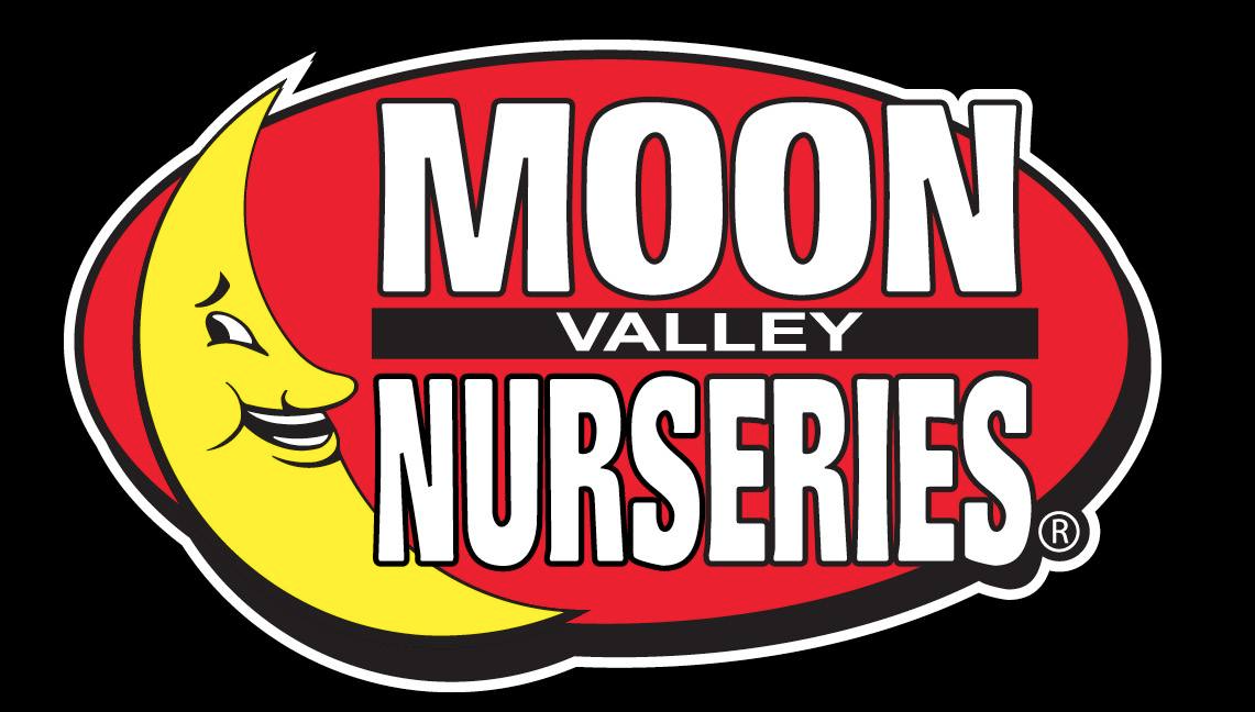 Screen-Shot-2025-10-01-at-2.43.28-PM